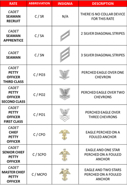 NJROTC Rates/Ranks - Patriot NJROTC